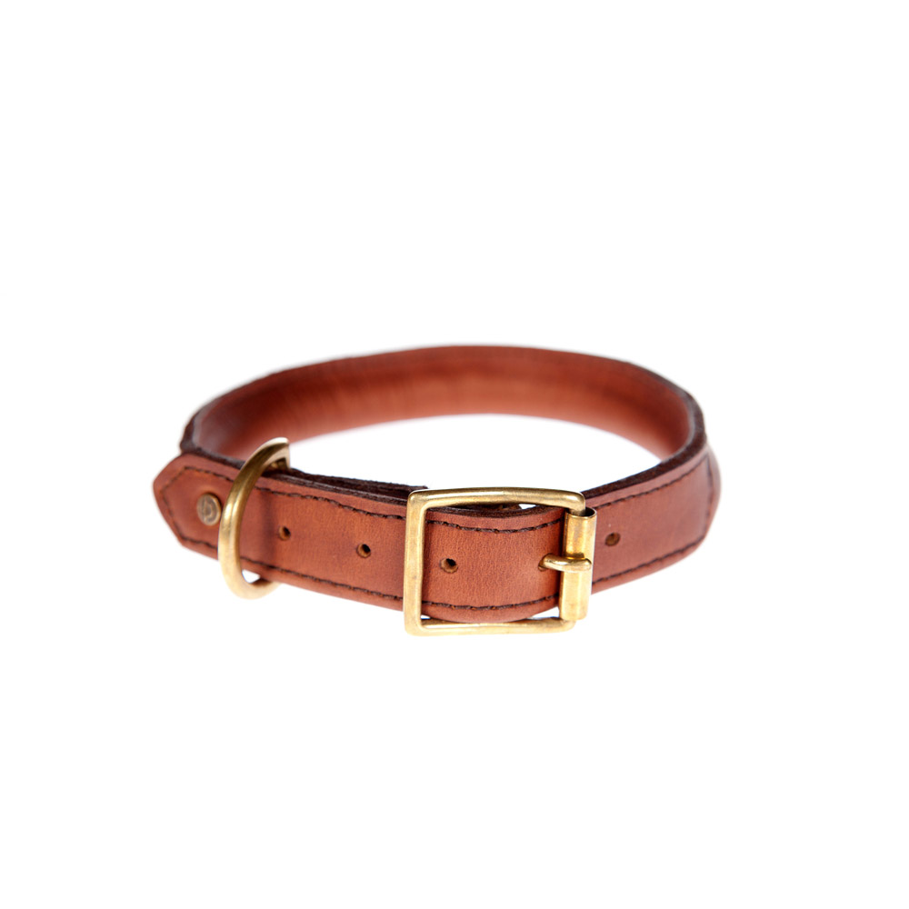 MR_DCS_Dog-Collar---Small_Leather